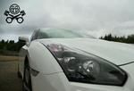 Video: PH Meets Godzilla At The 'Ring