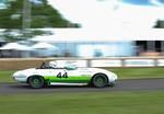 Goodwood from the driving seat: a novice's view